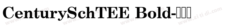 CenturySchTEE Bold字体转换 CenturySchTEE Bold字体转换
